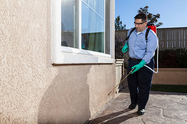 Best Emergency Pest Control  in Pecos, TX